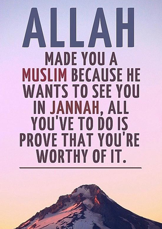 100 Inspirational Islamic Quotes With Beautiful Images TechnoBB