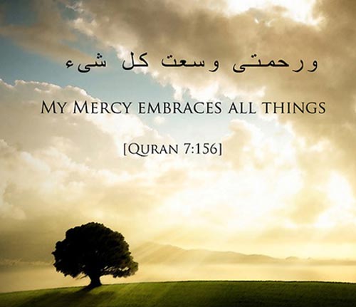 100+ Inspirational Quran Quotes with beautiful images