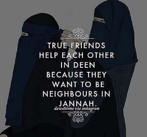 25+ Islamic Friendship Quotes For Your Best Friends